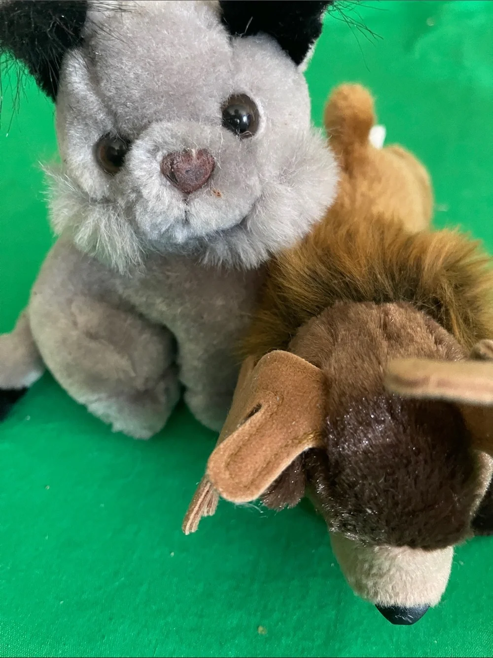 Plush Small Pet Toy Duo - Gray and Brown Soft Companions